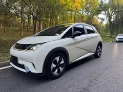 2024 BYD Dolphin Glory 420km Freedom, белый — фото 3