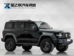 2021 Tank 300 Off-road 2.0T Conqueror, чёрный — фото 6