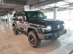 2021 Tank 300 Off-road 2.0T Conqueror, чёрный — фото 4