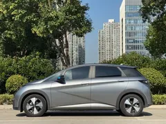 2023 BYD Dolphin 420km Fashion — фото 3