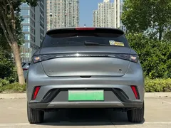 2023 BYD Dolphin 420km Fashion — фото 4