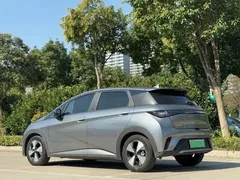 2023 BYD Dolphin 420km Fashion — фото 11
