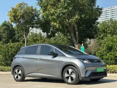 2023 BYD Dolphin 420km Fashion — фото 12