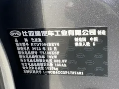 2023 BYD Dolphin 420km Fashion — фото 15