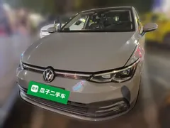 2021 Volkswagen Golf 280TSI DSG Pro — фото 1