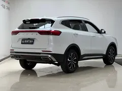 2023 Haval H6 1.5T AT Guochao Urban, белый — фото 4