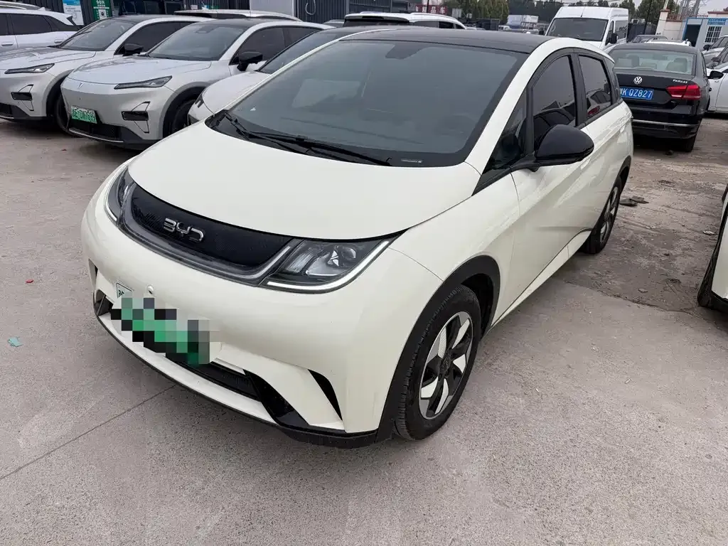 2024 BYD Dolphin Honor 420km Fashion