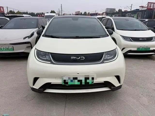 2024 BYD Dolphin Honor 420km Fashion