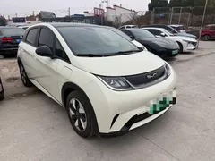 2024 BYD Dolphin Honor 420km Fashion — фото 3