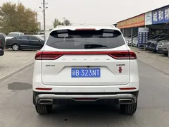 2021 Haval H6 1.5T AT Champion, белый — фото 8