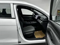 2025 BYD Song Pro 2nd Gen Smart Driving DM-i PHEV 75km Leading, белый — фото 8