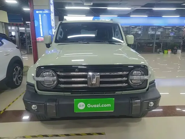 2021 Tank 300 City 2.0T