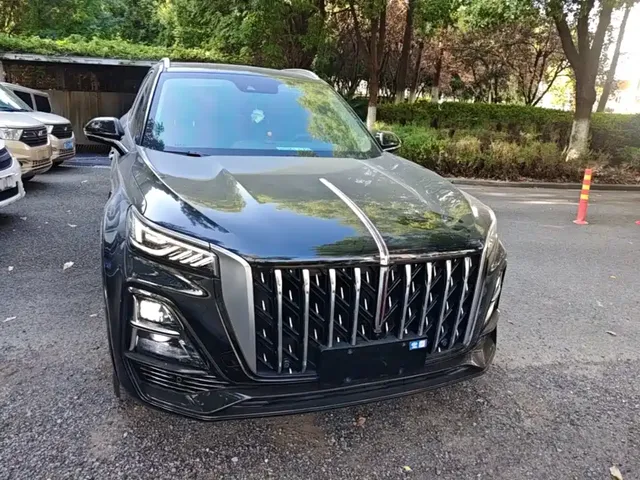 2023 Hongqi HS5 2.0T Pro