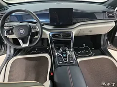 2023 BYD Qin PLUS Champion DM-i PHEV 55km Exceed — фото 7