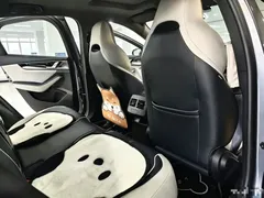 2023 BYD Qin PLUS Champion DM-i PHEV 55km Exceed — фото 12