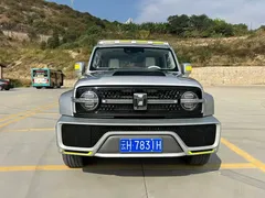 2022 Tank 300 2.0T Border Limited — фото 11