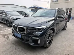 2022 BMW X5 30Li M Sport Package — фото 1