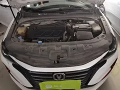 2021 Changan Raeton PLUS Blue Whale 1.5T DCT Elite, белый — фото 20