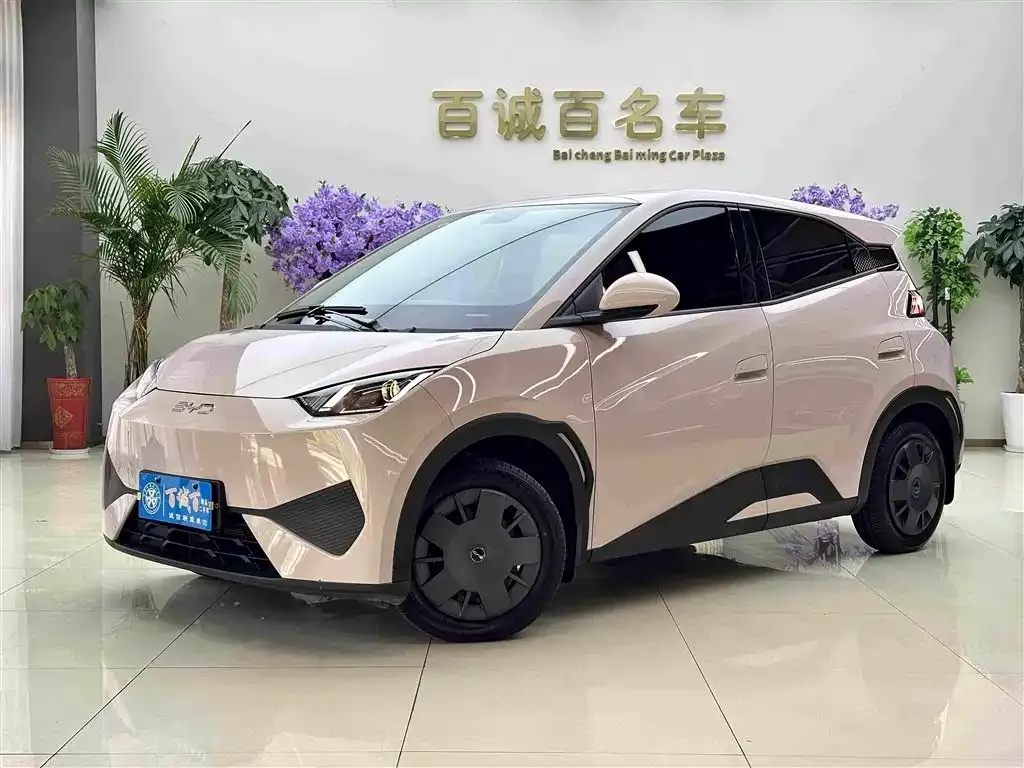 2025 BYD Seagull 305km Vitality