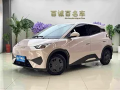 2025 BYD Seagull 305km Vitality — фото 1