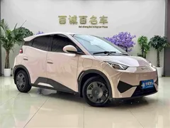 2025 BYD Seagull 305km Vitality — фото 3