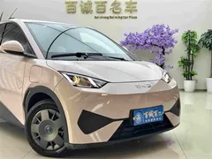 2025 BYD Seagull 305km Vitality — фото 4