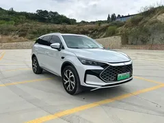 2025 BYD Tang DM-i PHEV 115km Flagship — фото 1