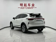 2022 Haval Chitu 1.5T, белый — фото 7