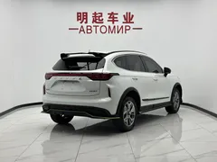 2022 Haval Chitu 1.5T, белый — фото 8