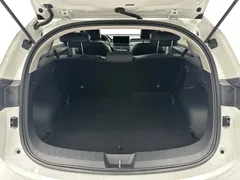 2022 Haval Chitu 1.5T, белый — фото 22