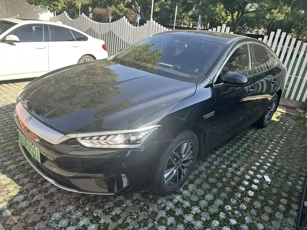 2024 BYD Qin PLUS Honor EV 510km Leading