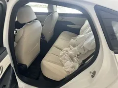 2025 BYD Qin PLUS EV Smart Driving 420km Leading, белый — фото 17