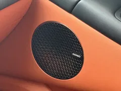 2025 Aion RT 520 Smart Luxury — фото 22