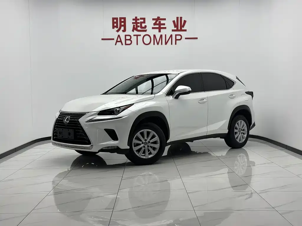 2020 Lexus NX 200 2WD Fengxing China VI