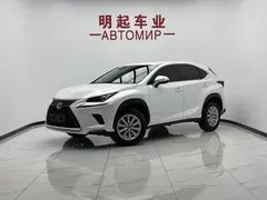 2020 Lexus NX 200 2WD Fengxing China VI, белый — фото 1