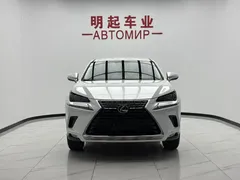 2020 Lexus NX 200 2WD Fengxing China VI, белый — фото 3