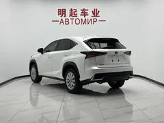 2020 Lexus NX 200 2WD Fengxing China VI, белый — фото 7