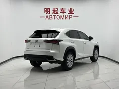 2020 Lexus NX 200 2WD Fengxing China VI, белый — фото 8