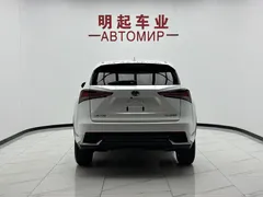 2020 Lexus NX 200 2WD Fengxing China VI, белый — фото 9