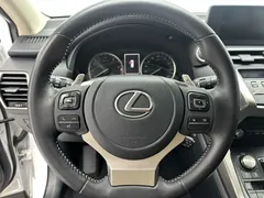 2020 Lexus NX 200 2WD Fengxing China VI, белый — фото 15