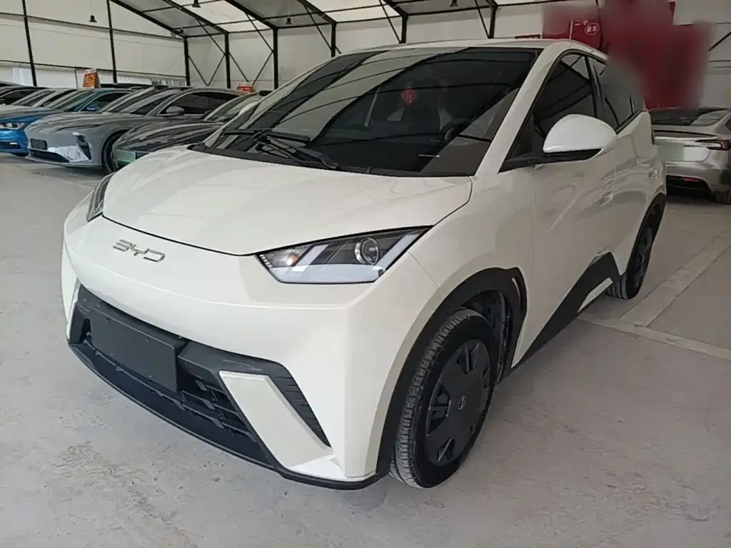 2023 BYD Seagull Vitality