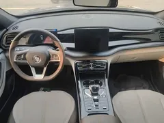 2024 BYD Qin PLUS Honor DM-i PHEV 55km Leading — фото 10
