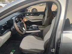 2024 BYD Qin PLUS Honor DM-i PHEV 55km Leading — фото 15