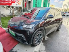 2023 BYD Seagull Flying, чёрный — фото 3
