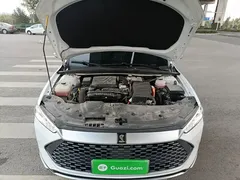 2024 BYD Qin PLUS Honor DM-i PHEV 55km Leading, белый — фото 20