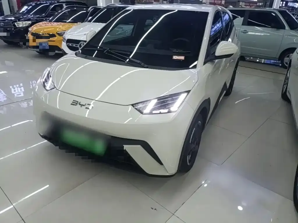 2023 BYD Seagull Freedom