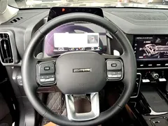 2022 Haval Dargo 2.0T DCT 4WD Chinese Rural Dog Edition, чёрный — фото 11