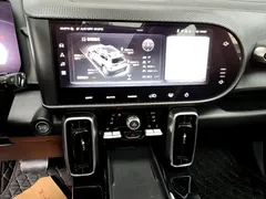 2022 Haval Dargo 2.0T DCT 4WD Chinese Rural Dog Edition, чёрный — фото 13