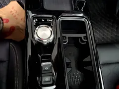 2022 Haval Dargo 2.0T DCT 4WD Chinese Rural Dog Edition, чёрный — фото 14