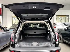 2022 Haval Dargo 2.0T DCT 4WD Chinese Rural Dog Edition, чёрный — фото 19